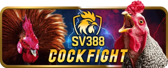Hotline hỗ trợ của vn23 đăng nhập